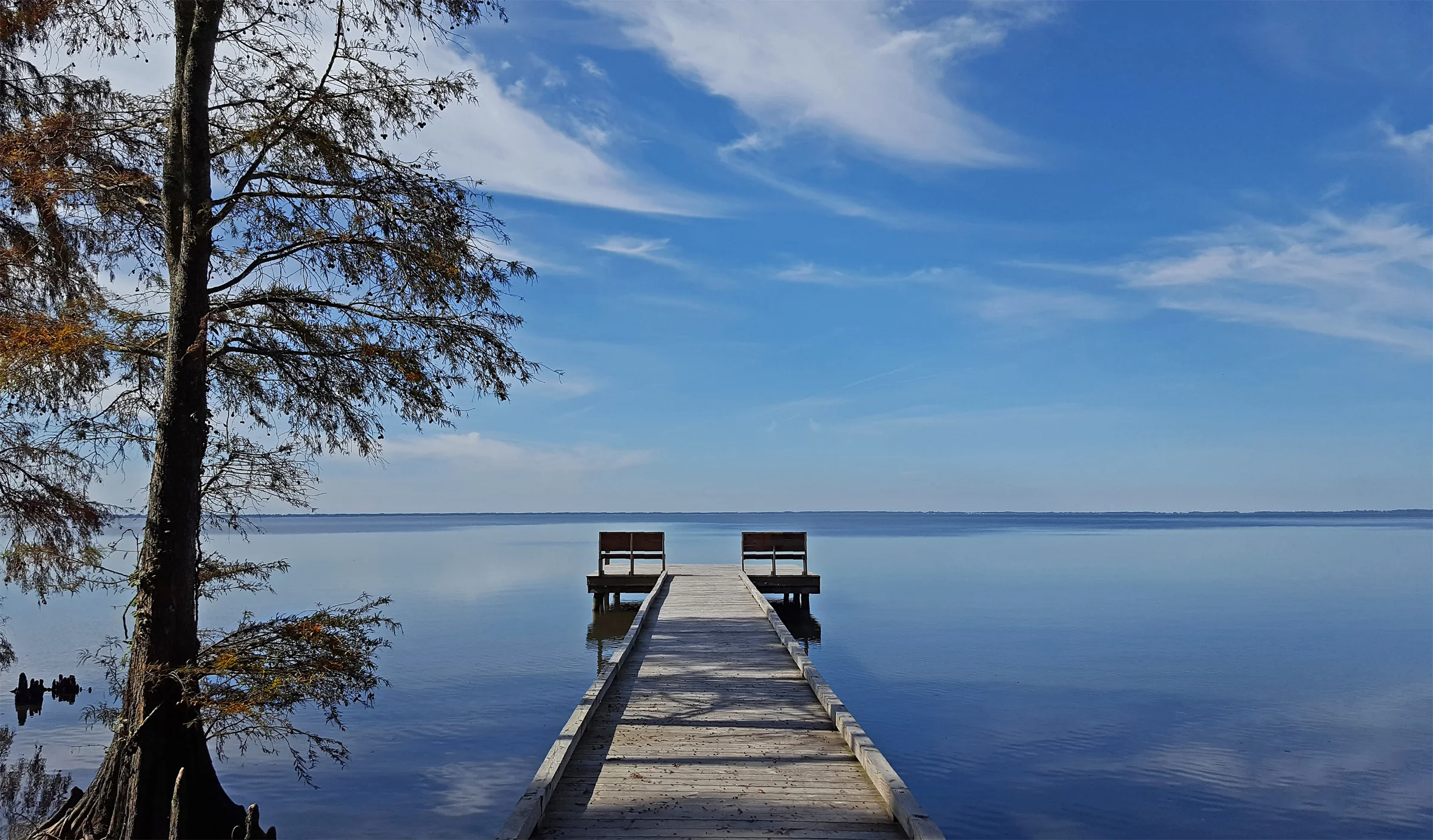 Pettigrew State Park, North Carolina