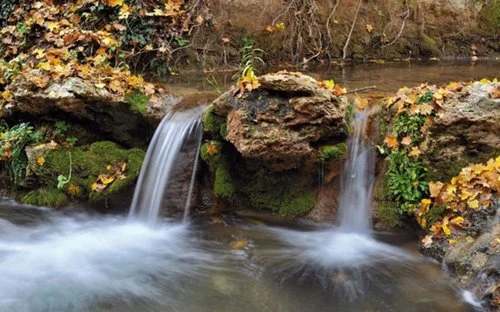 spring+sorano.jpg