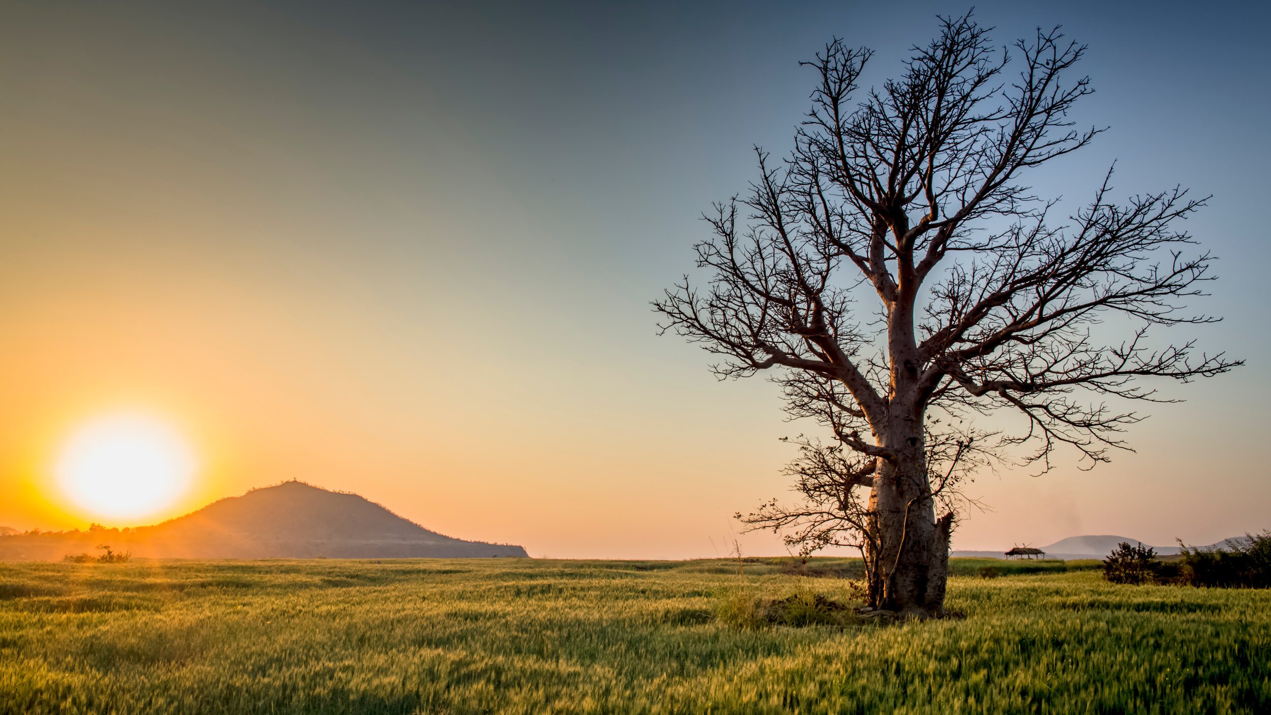 5 Things That Will Block You From Manifesting What You Want