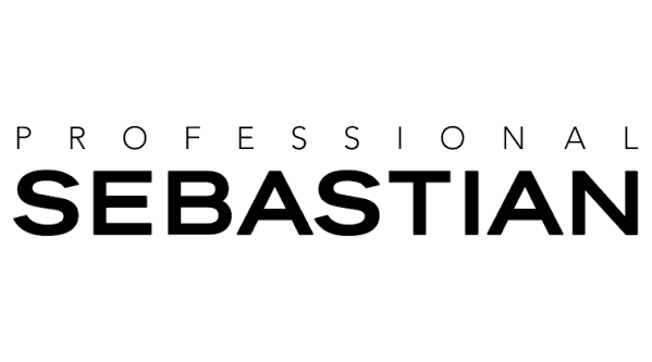 Seb logo.png