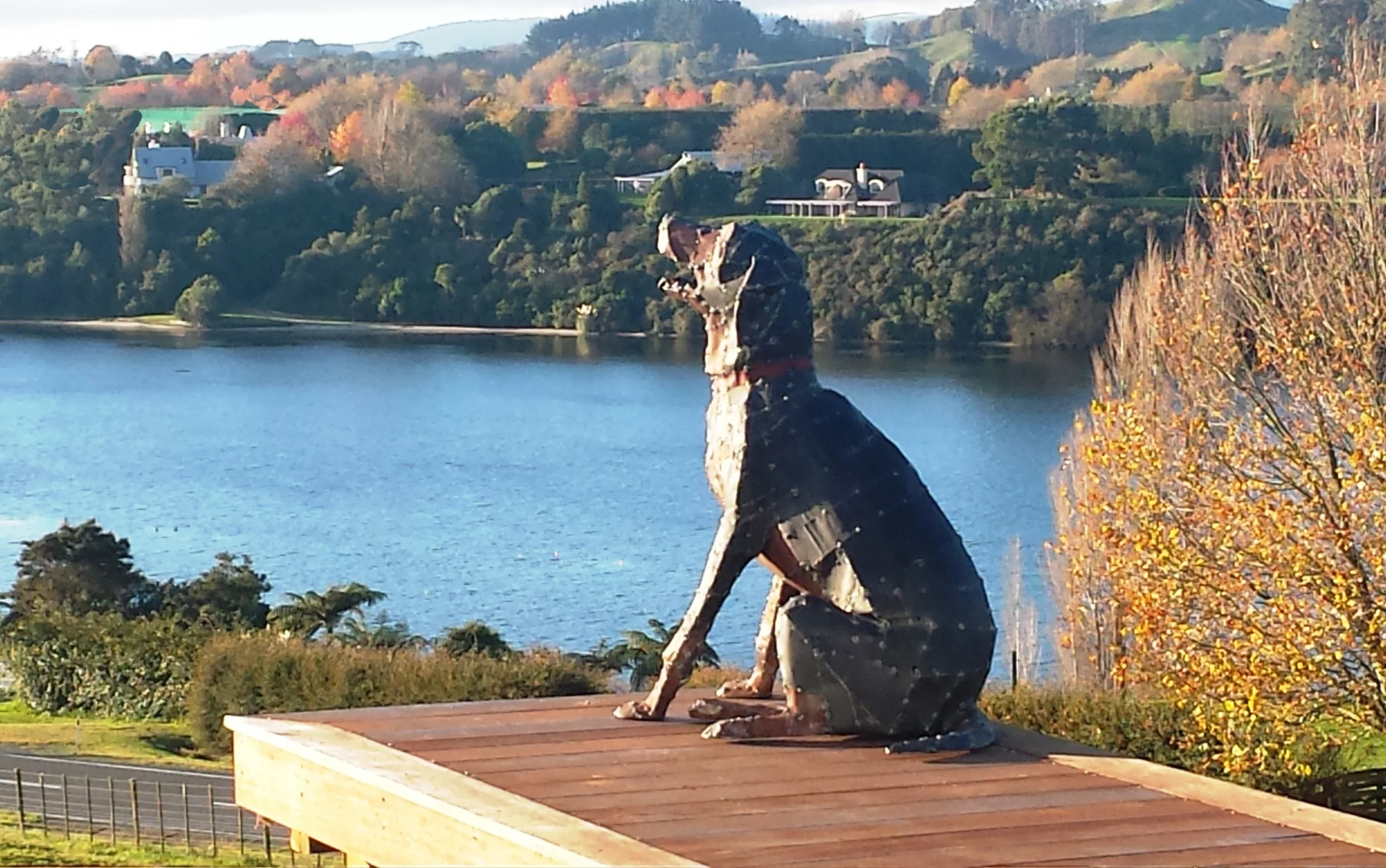 20150602_155559 - Copy.jpg