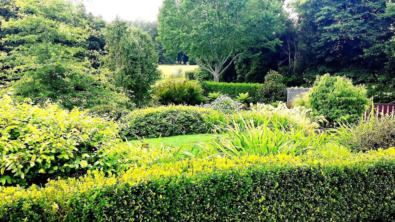 Garden with Vista - Copy.jpg