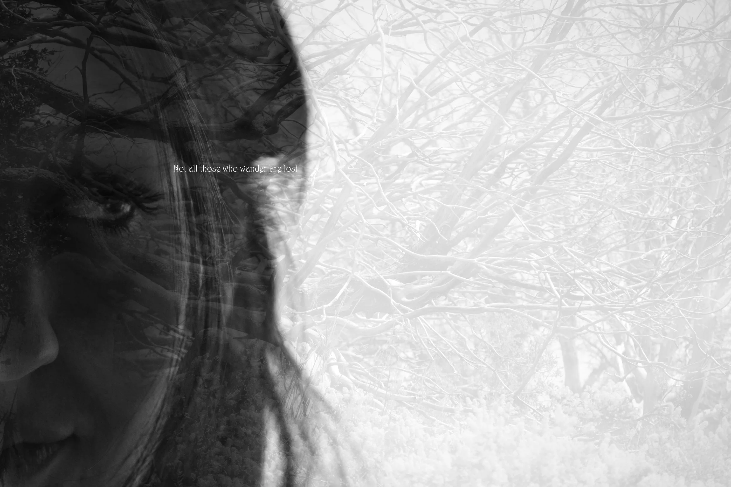 wandering lost.jpg