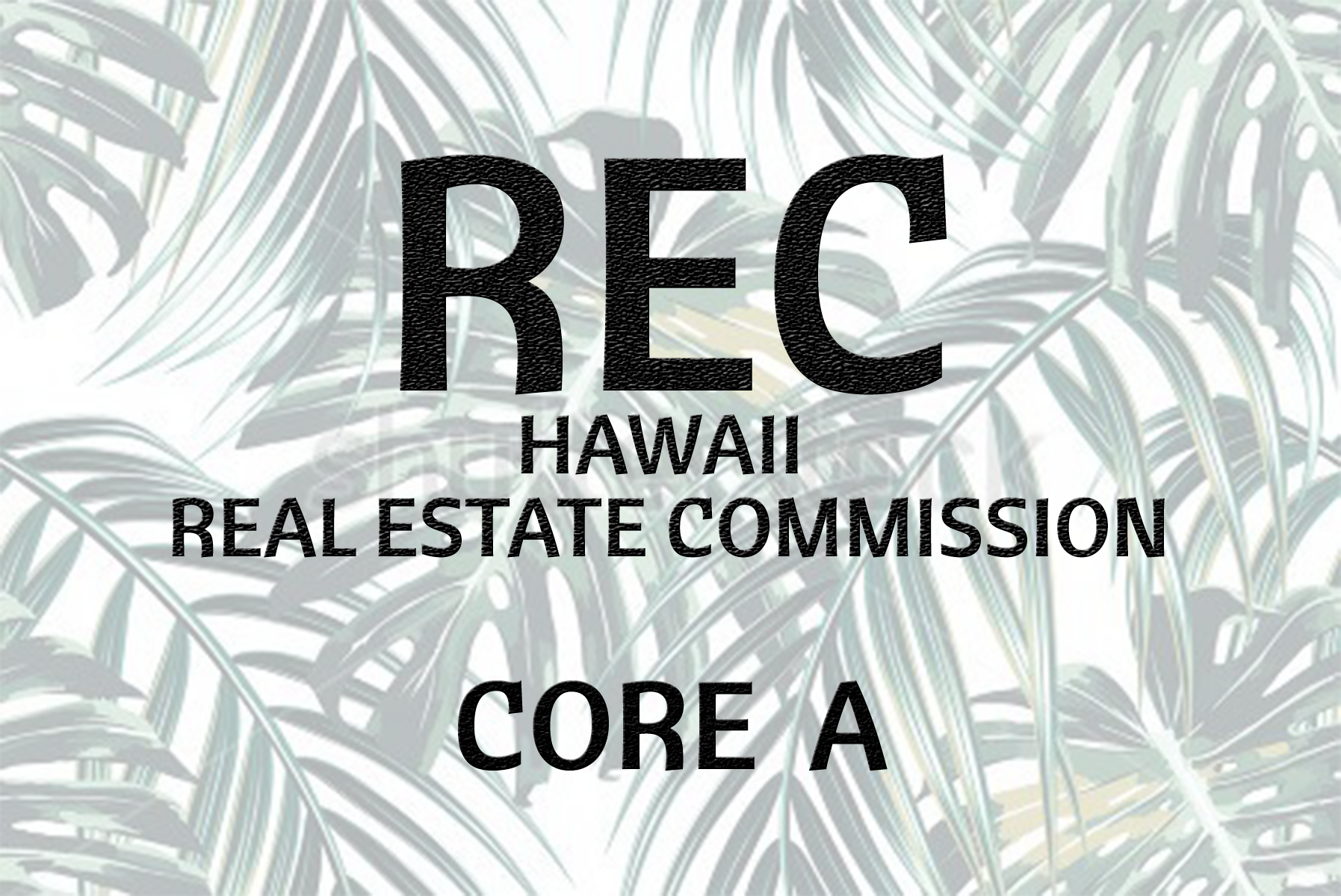 Core A 2015-2016 (REQUIRED) 4.0 credits