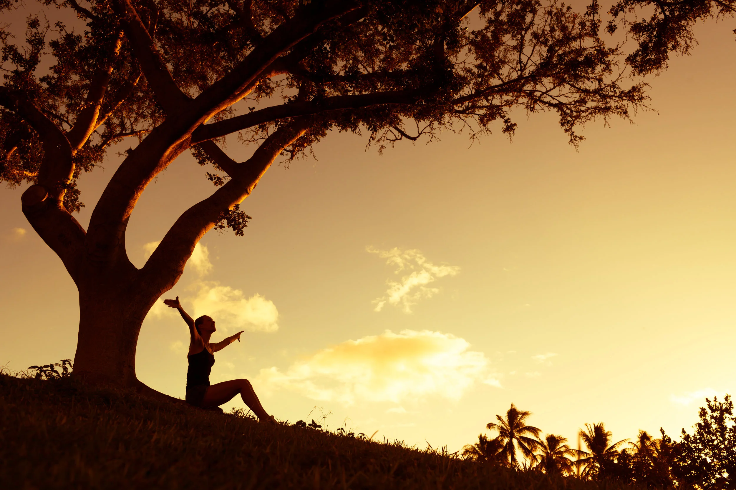 "Un des merveilleux cadeaux que nous offre la gratitude est de nous rendre plus pleinement conscient du moment présent."