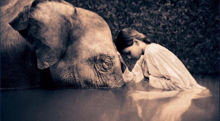 Compassion 1.jpeg