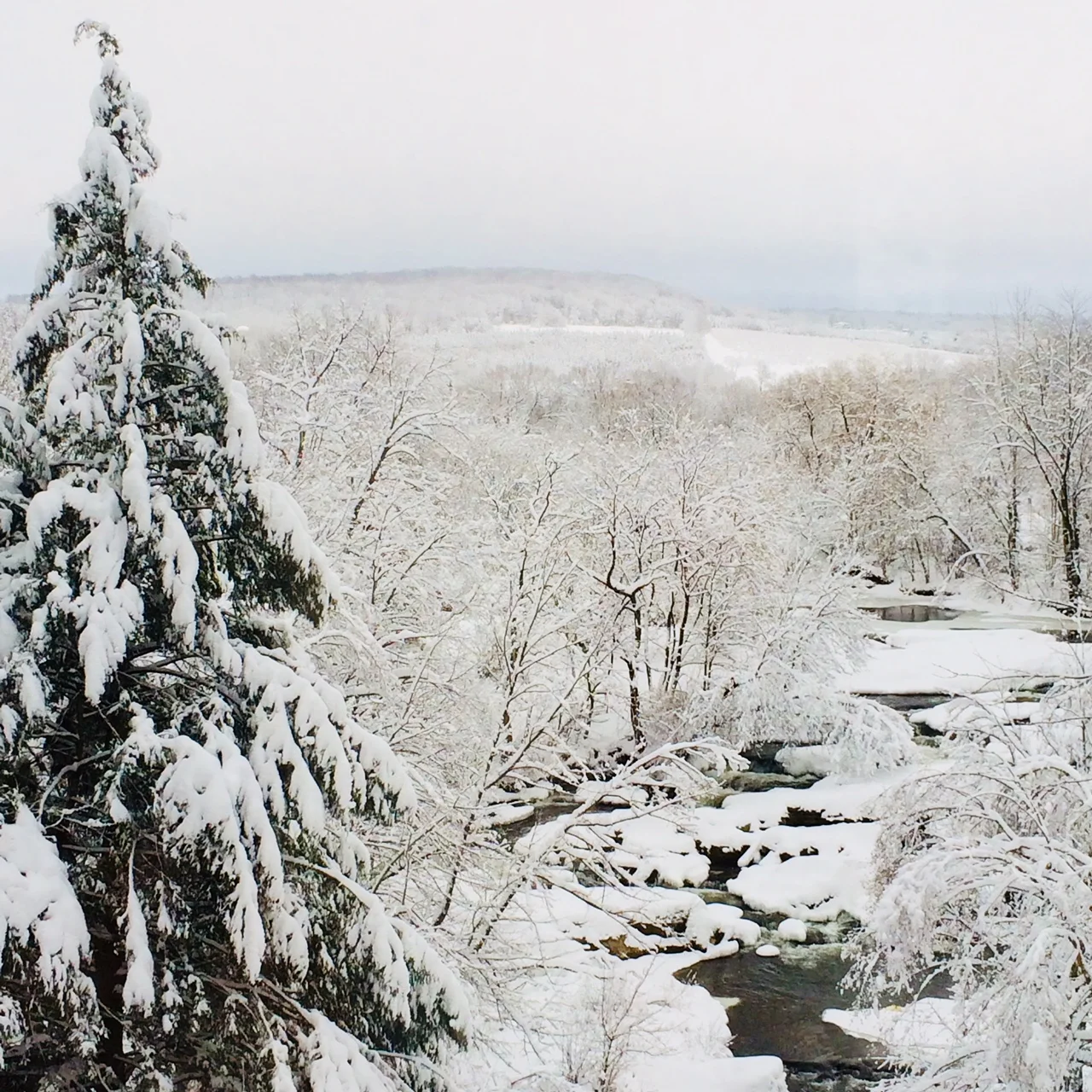 Hiver 1.jpg