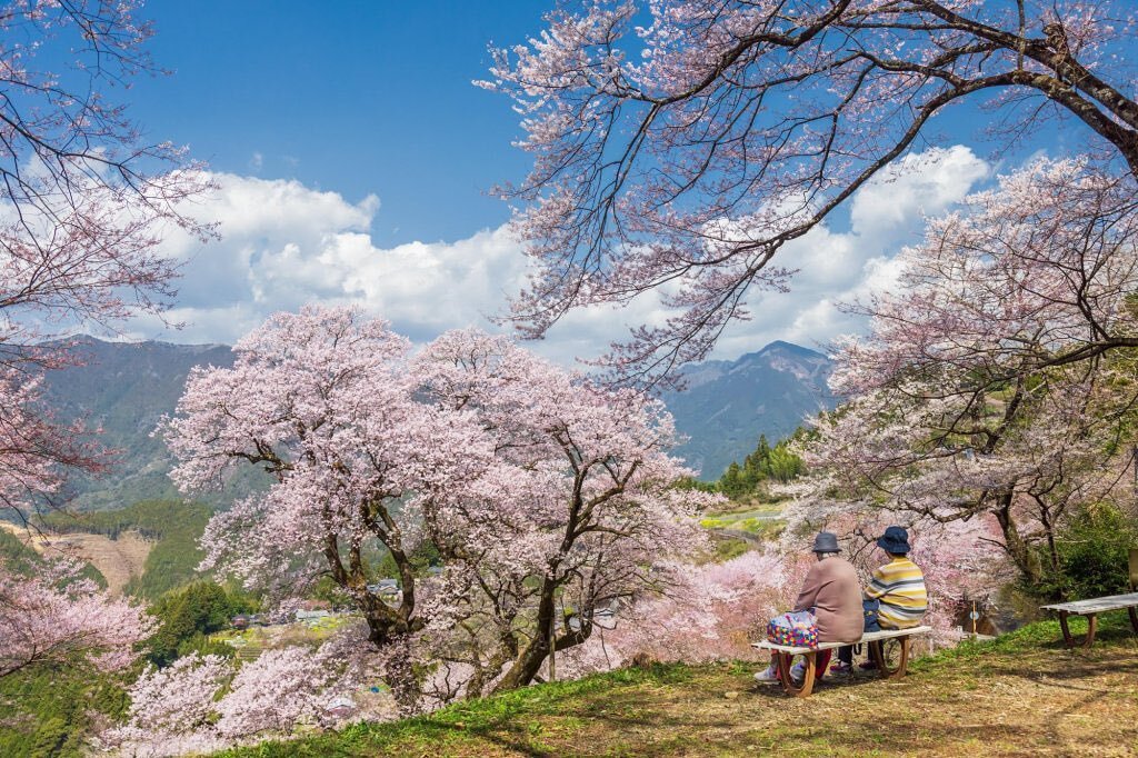 Il existe un principe philosophique dans la culture japonaise connu sous le nom de &quot;MA&quot;. Cela peut &ecirc;tre traduit par &quot;la pause entre les deux&quot;. 

MA impr&egrave;gne une grande partie de l'art et de la culture japonaise. On pe