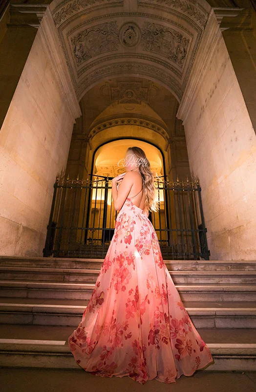 DaniCarreraLouvrePinkGown.jpg