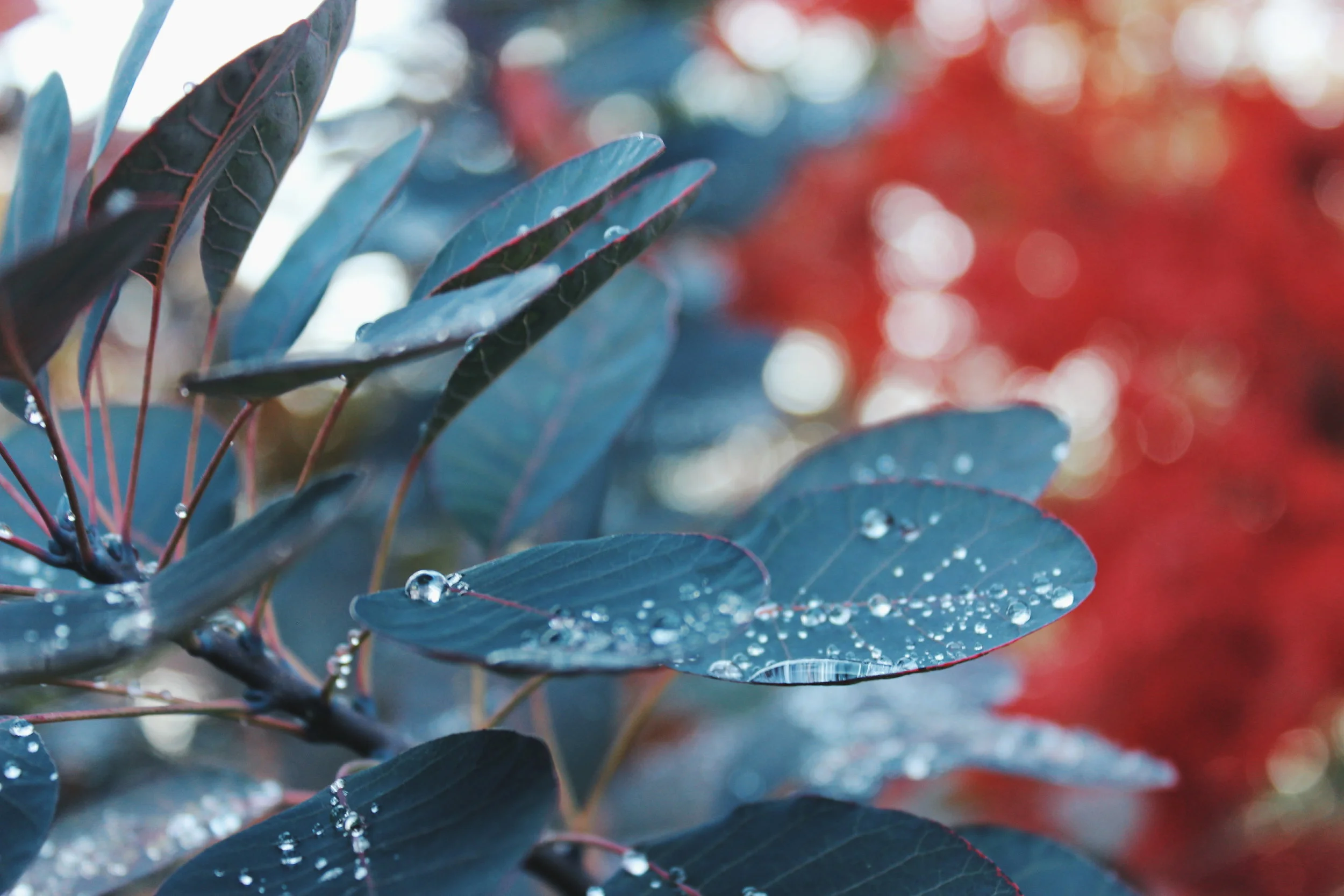 2017-10-26 08.56.24 1.jpg