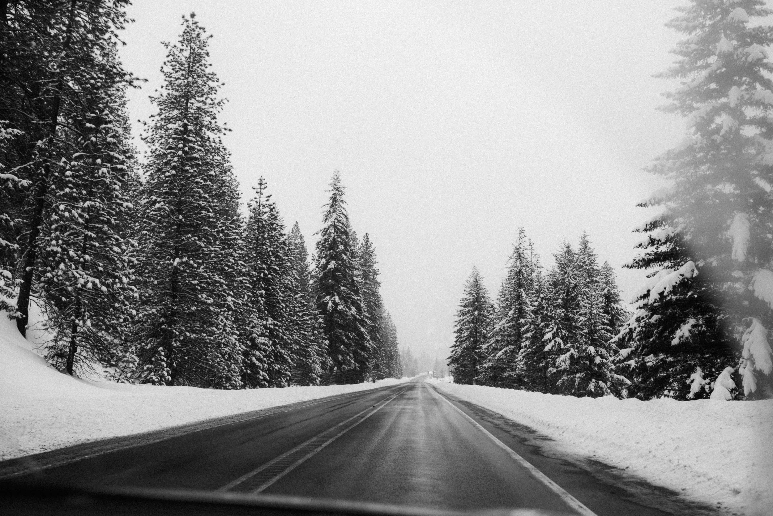 DSC_7801-3.jpg