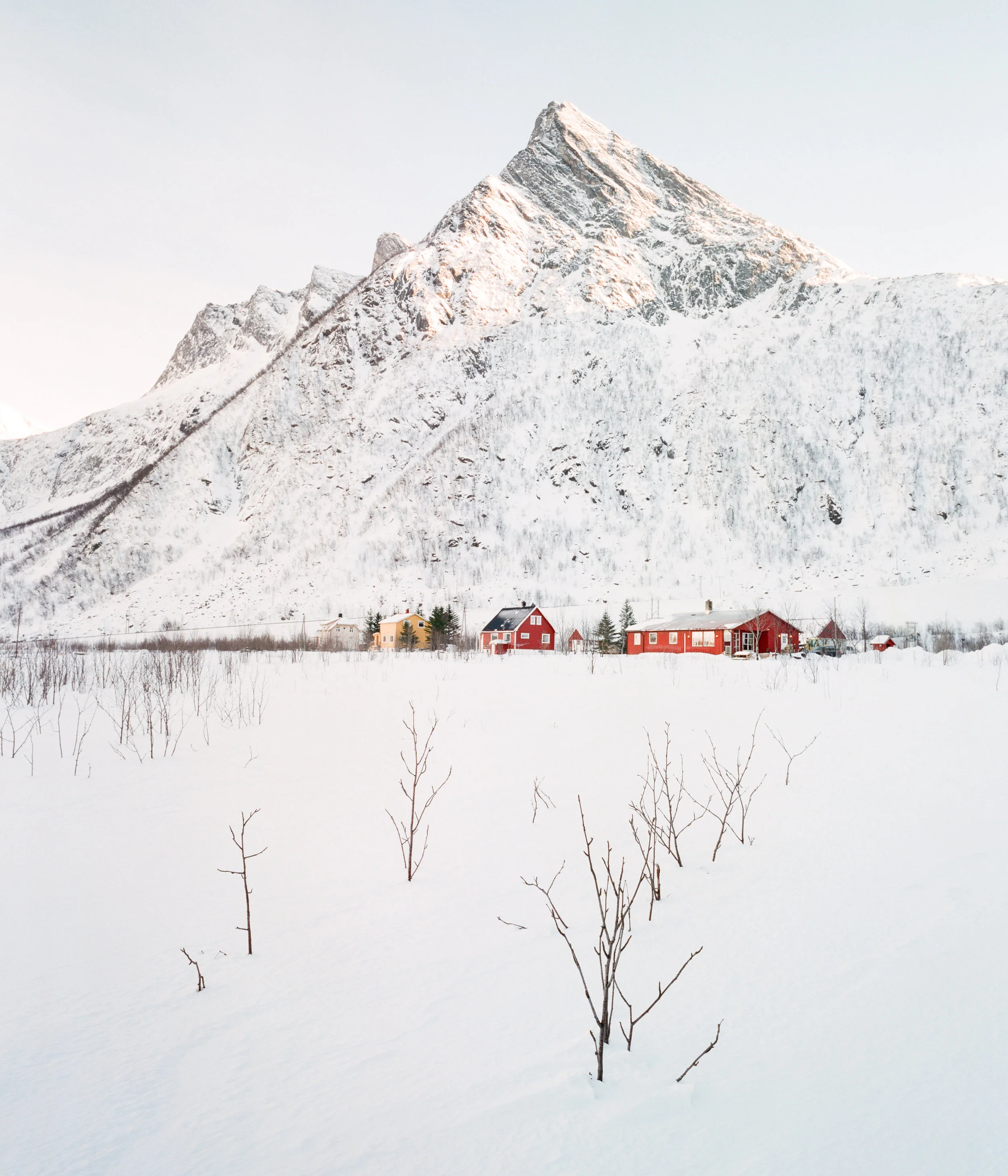 Czerwinski_Submission_Winter-1.jpg