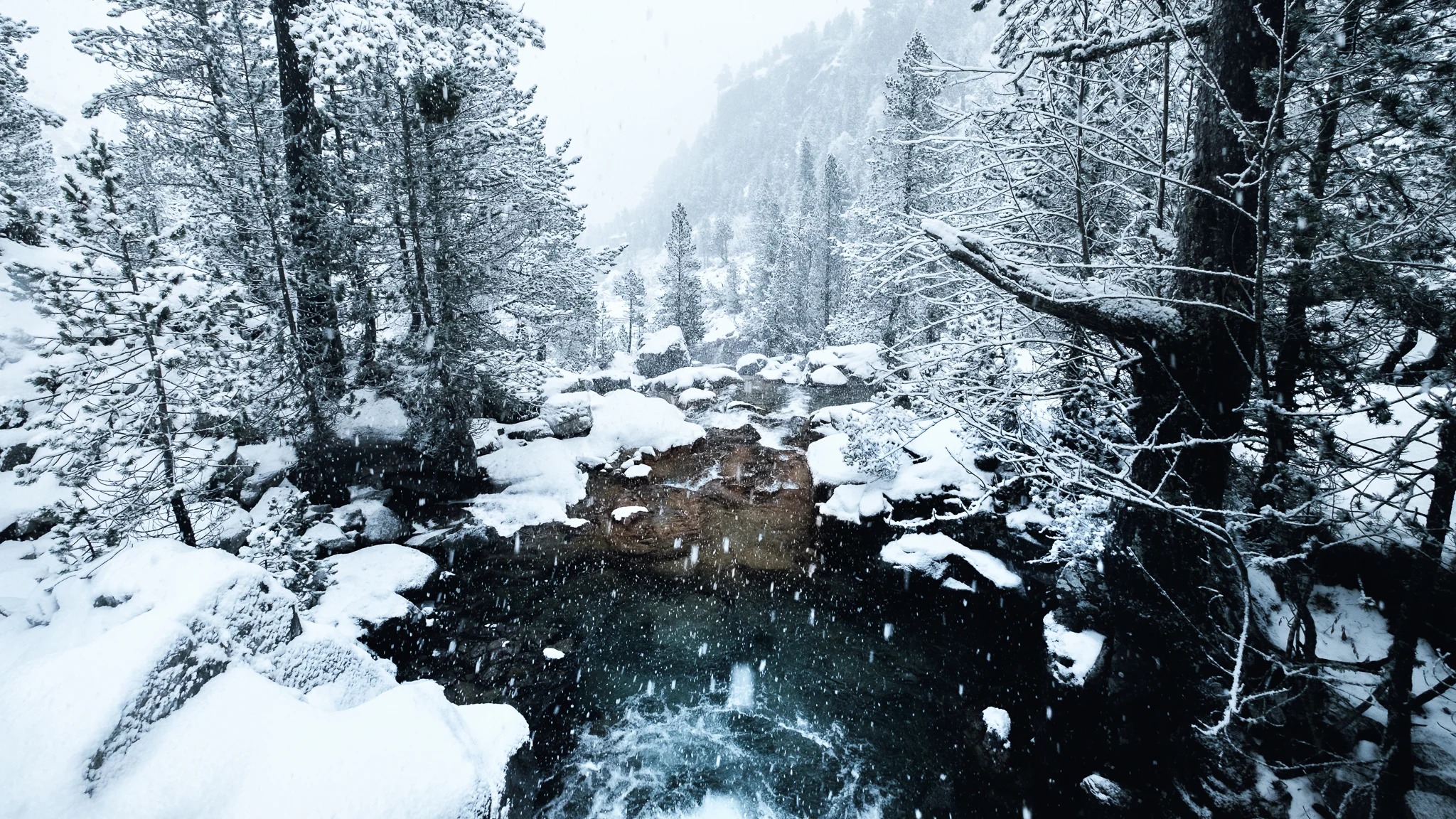 Pyrénées 12.jpg