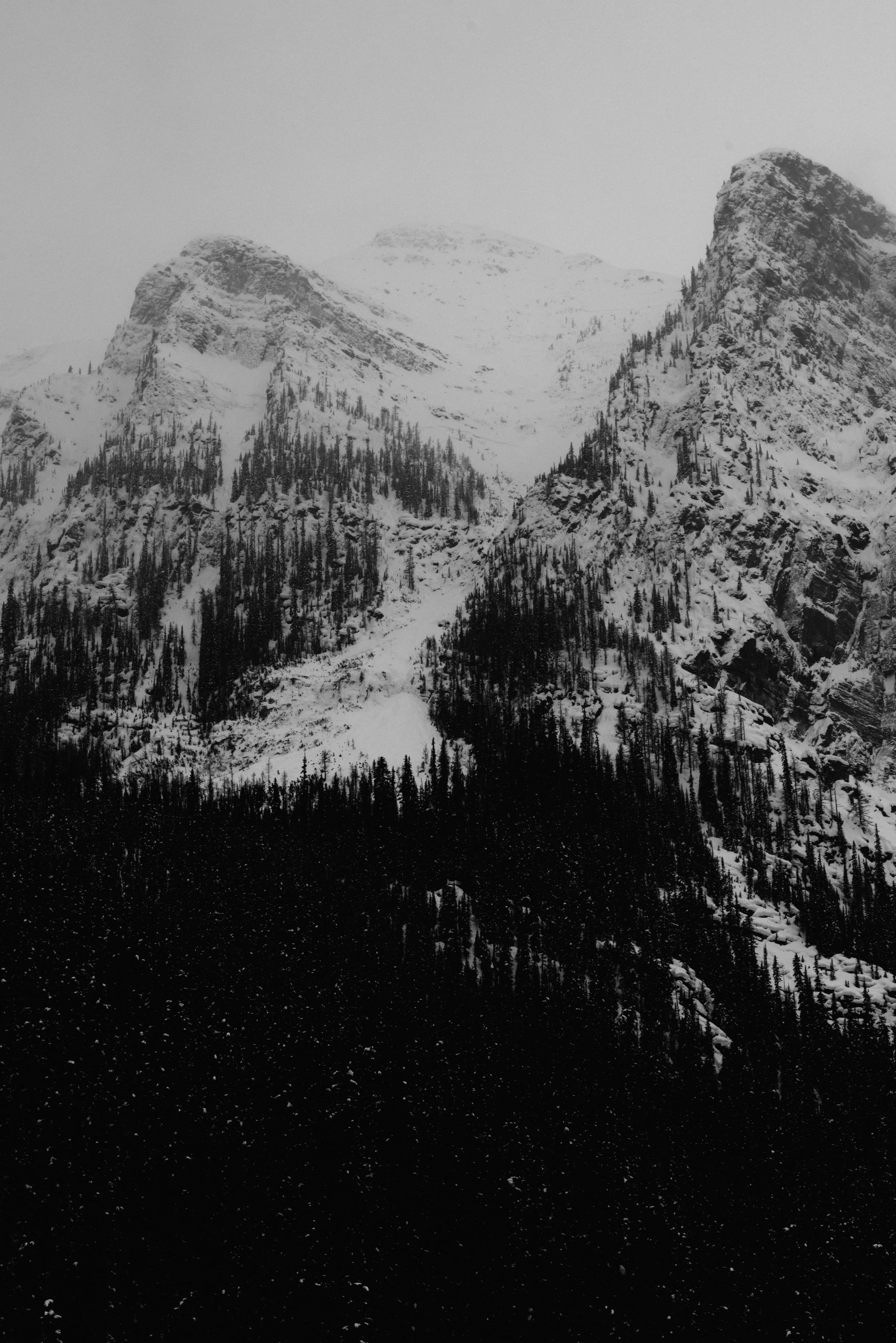 AZ_20170319_005.jpg