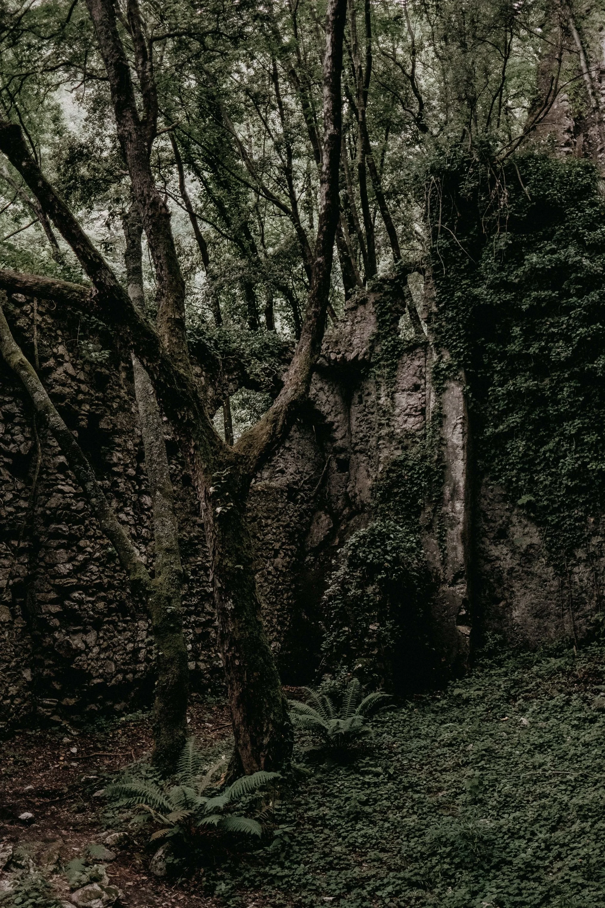 _DSF1009.jpg