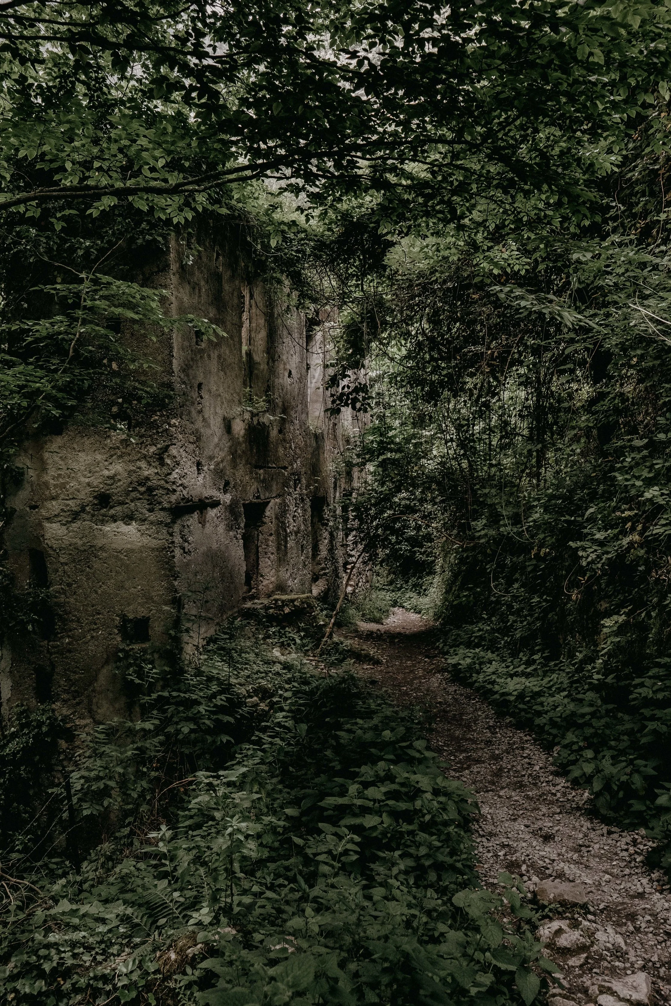 _DSF0967.jpg