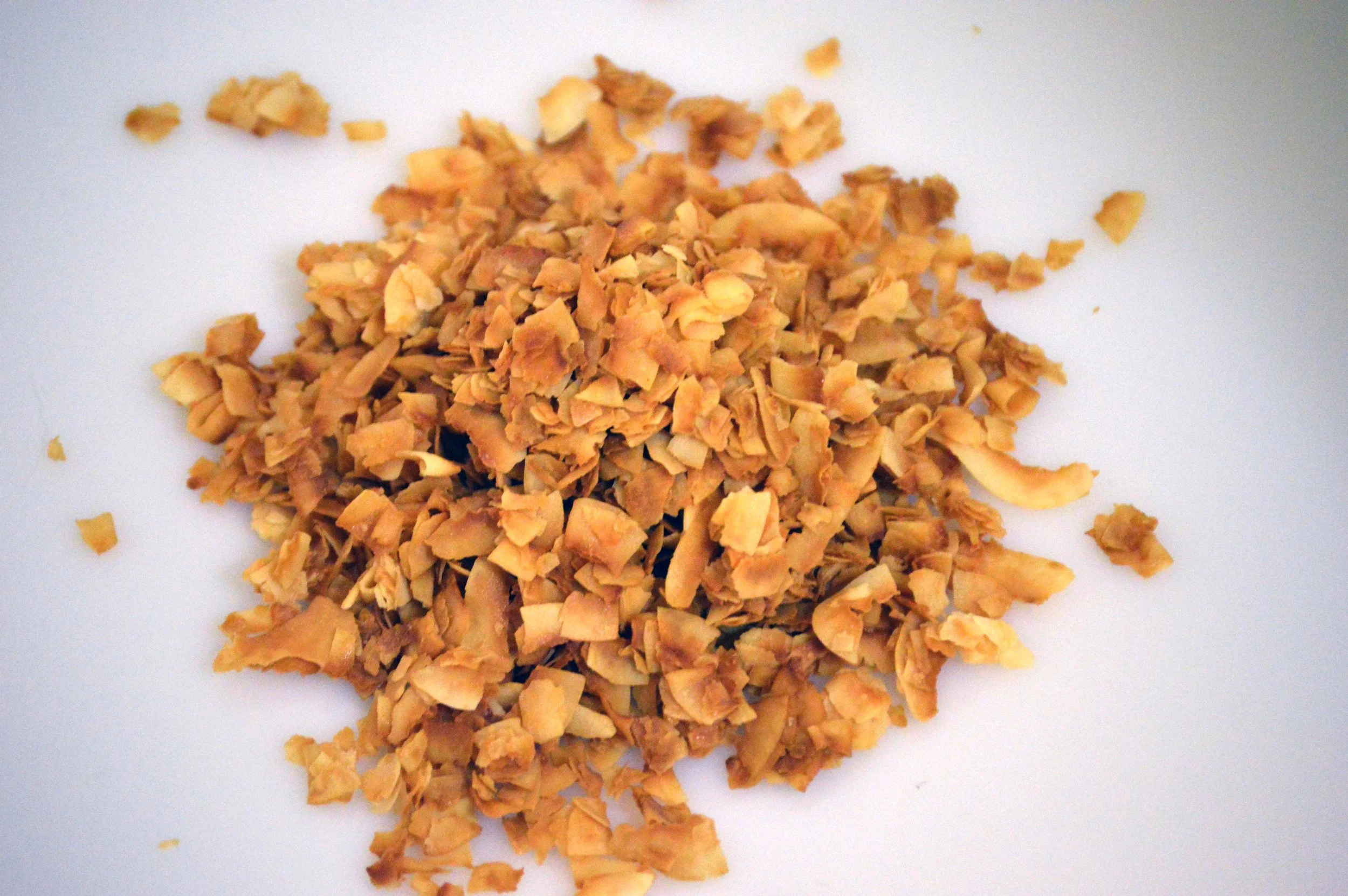 Organic Coconut Chips