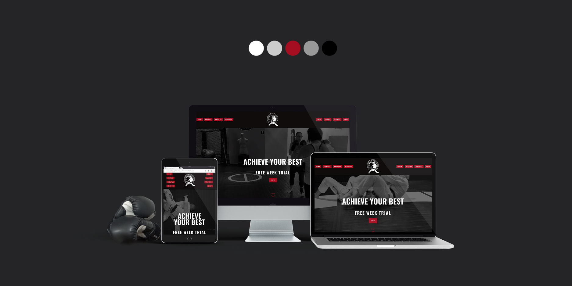 Summerside Martial Arts Academy responsive web design and branding