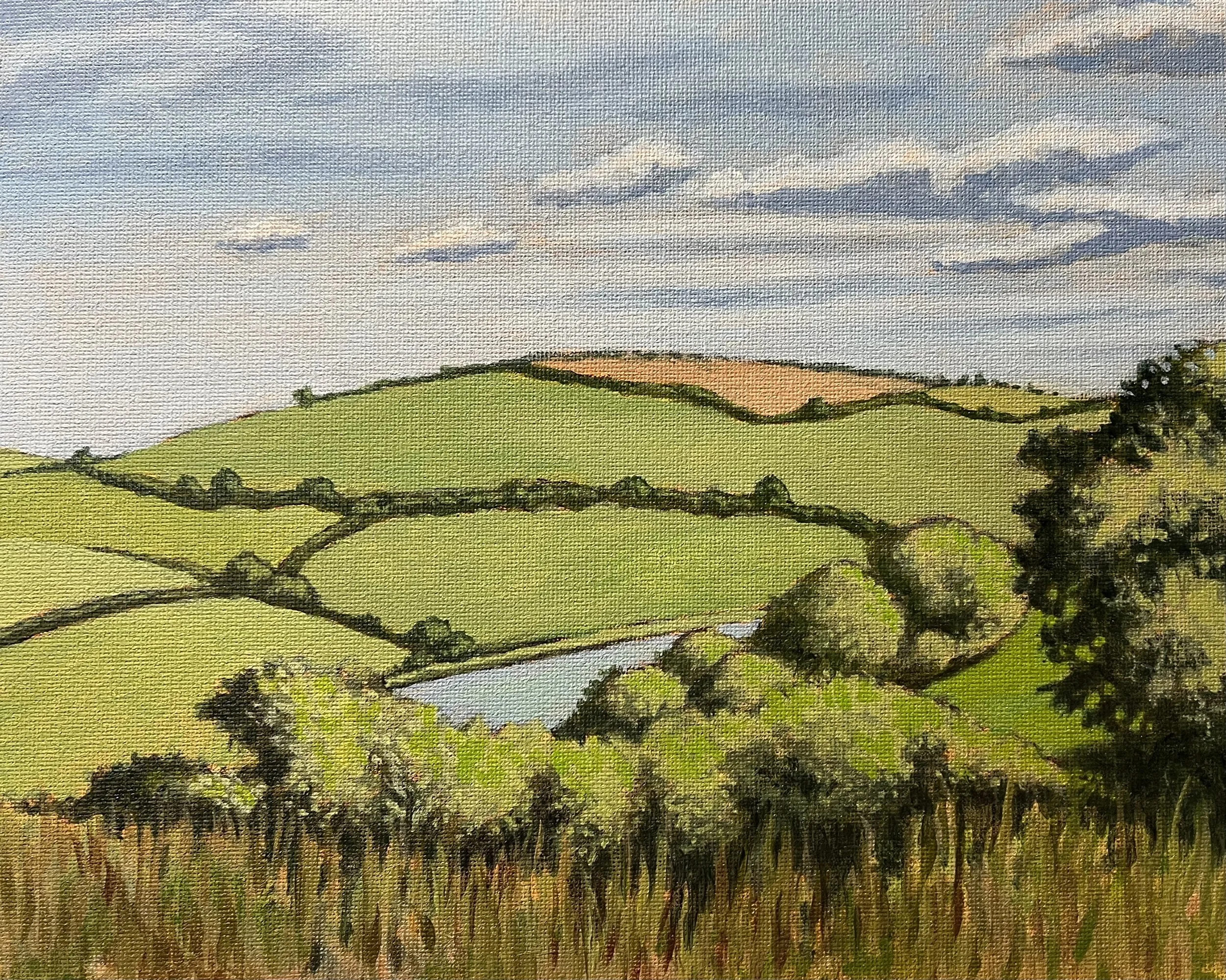 The River Dart, Totnes, UK