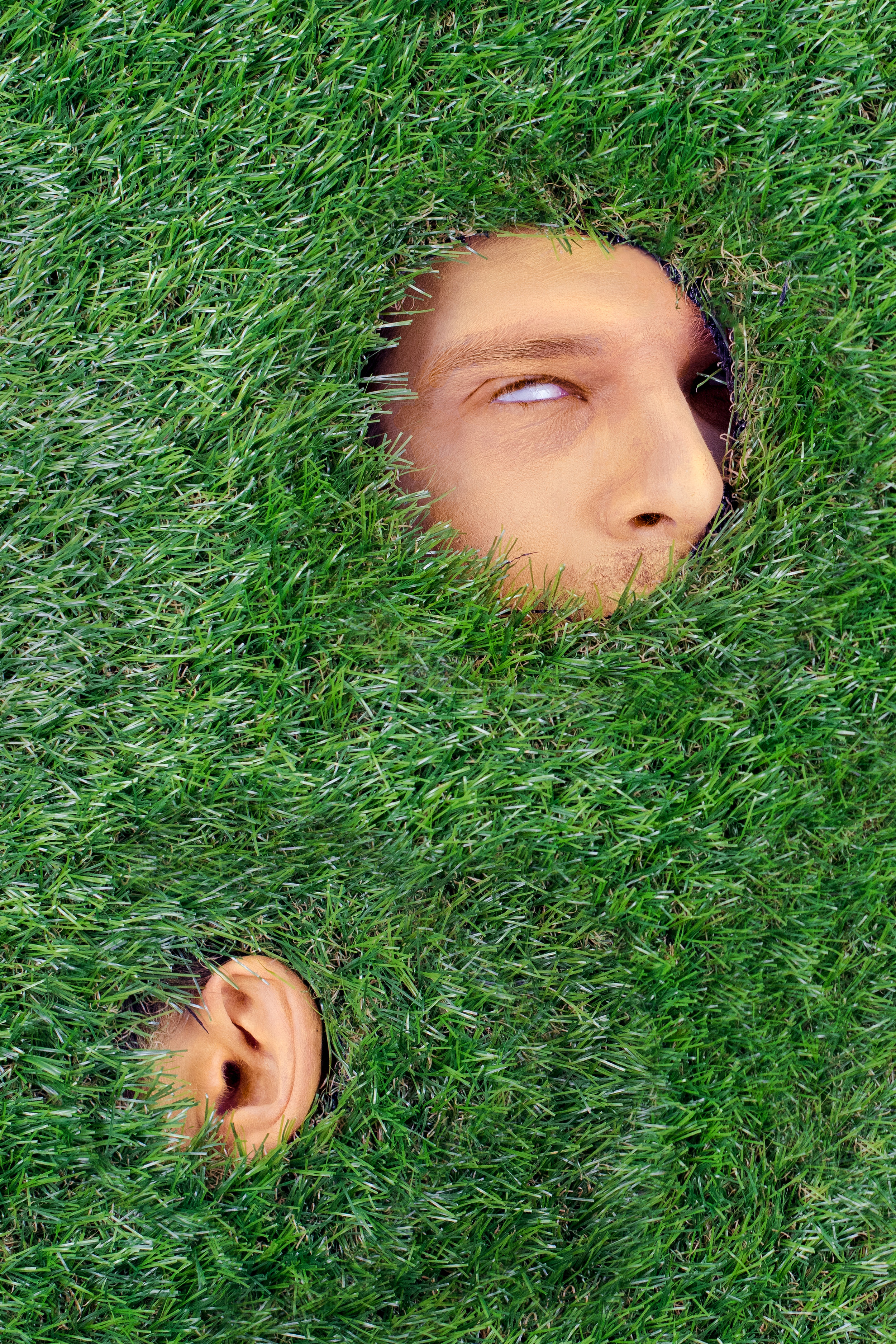 grass.jpg