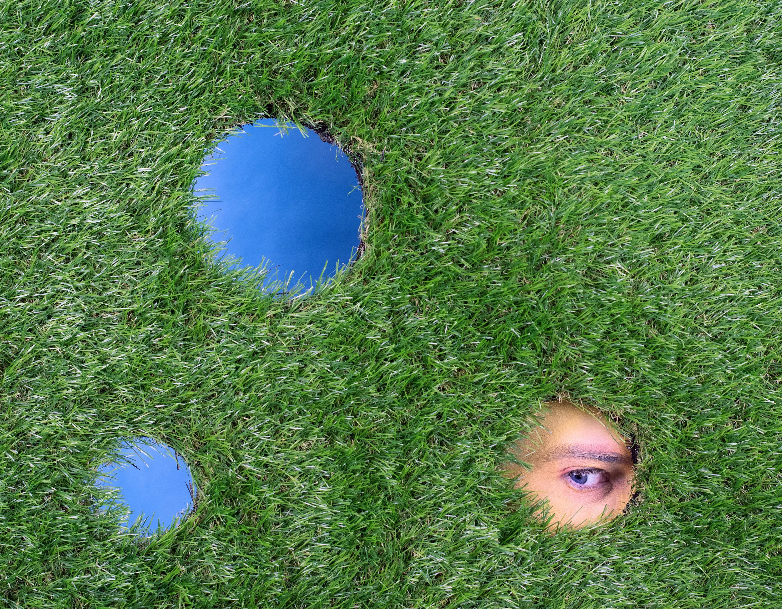 grass2.jpg