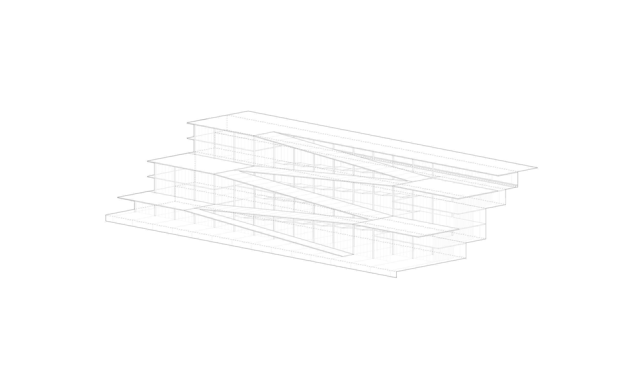 Website-02-01.jpg