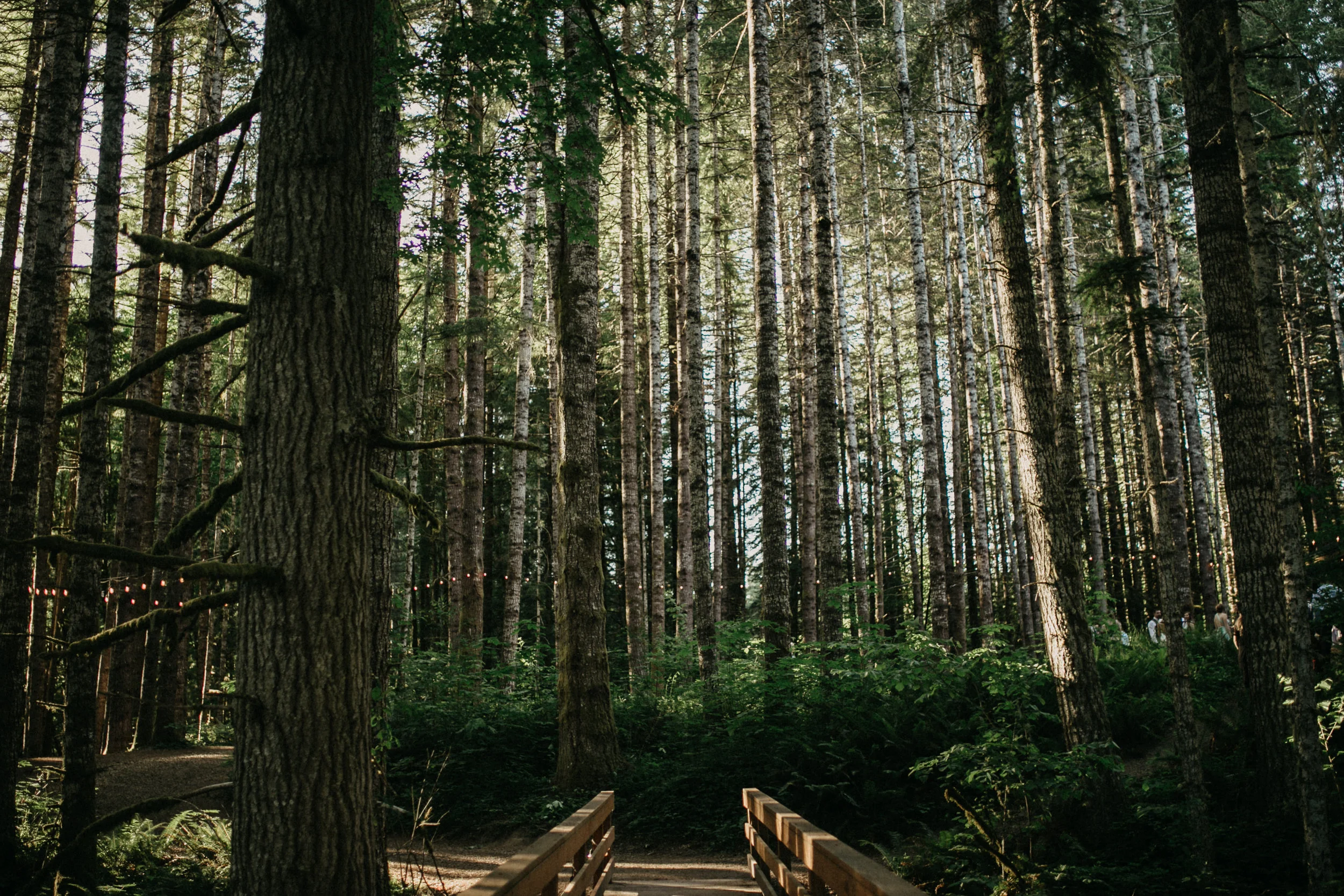 RusticRomantic_CedarRidgeRetreat_MelaPhoto-7150.jpg