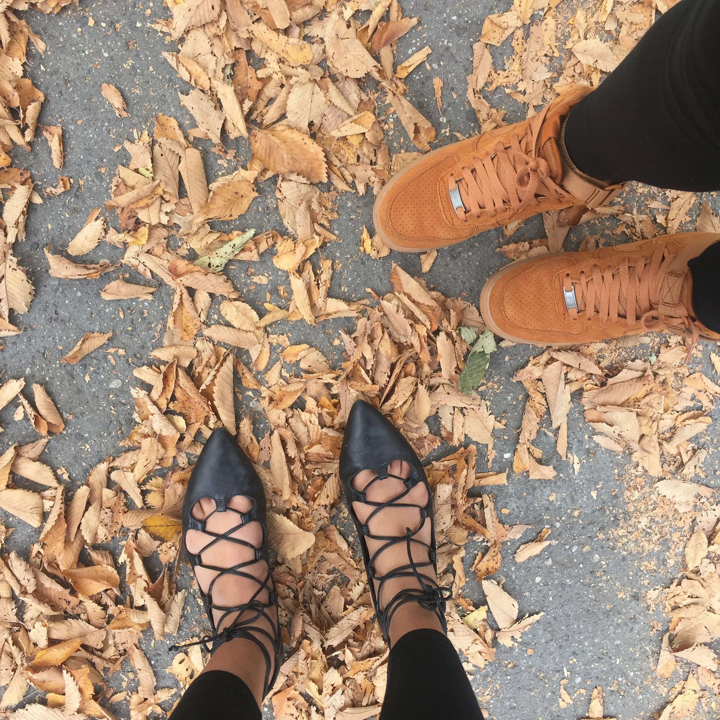 Central Park Fall
