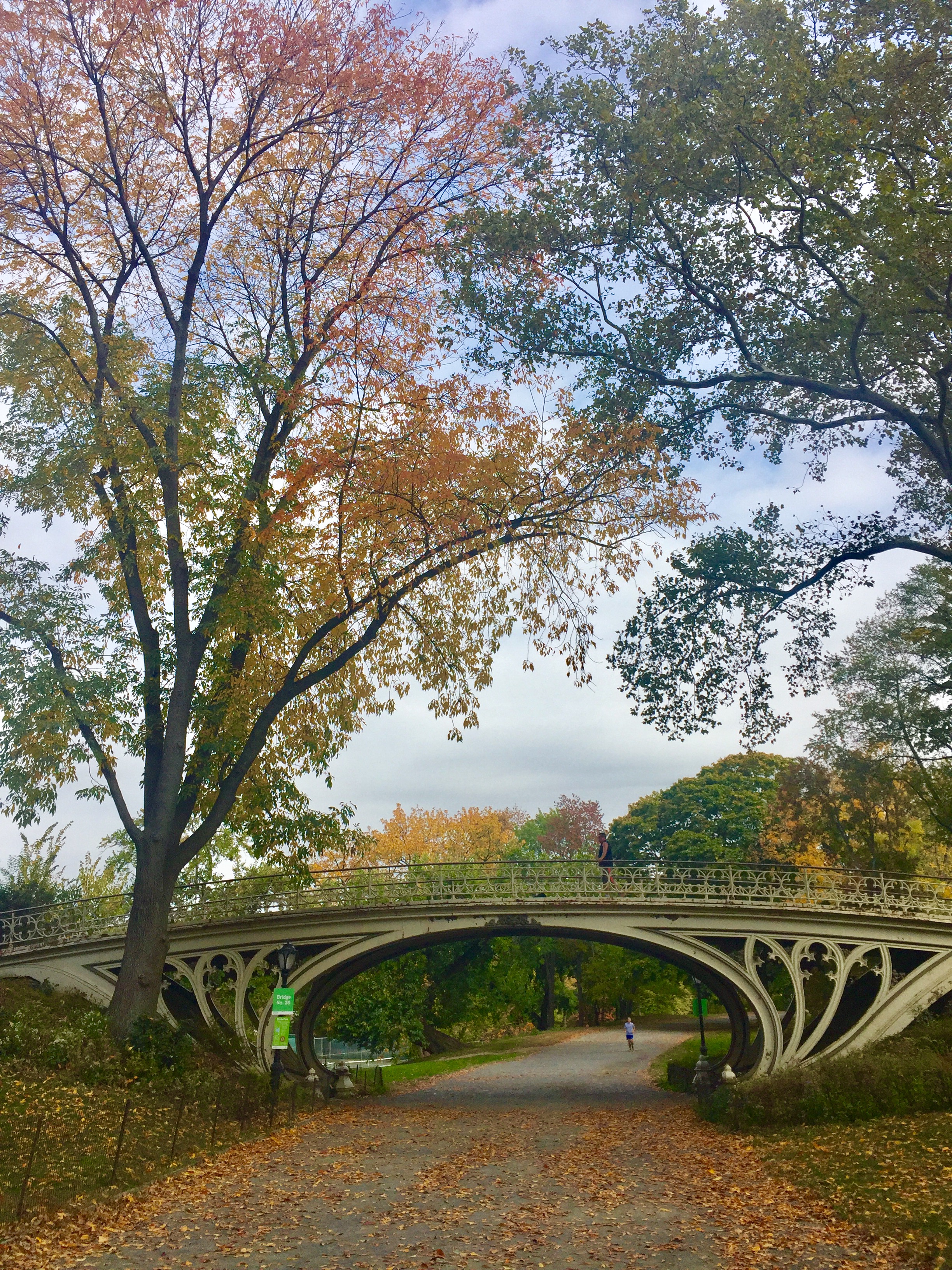 Central Park Fall