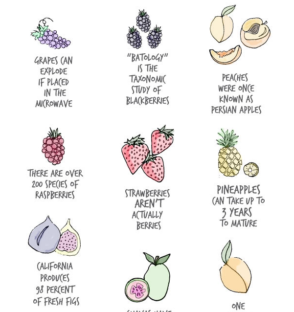 Illustrated Fruit Facts