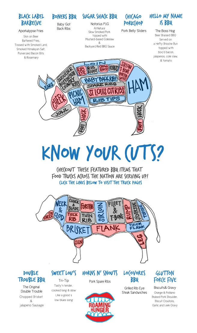 Know Your Cuts - Illustrated Infographic
