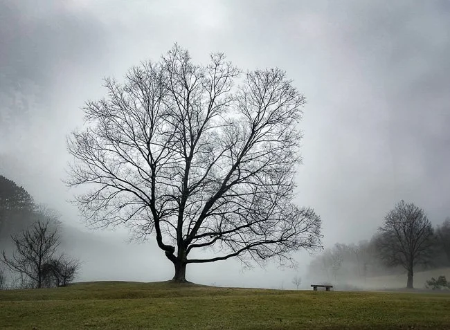 North Park Late Afternoon Winter.jpg