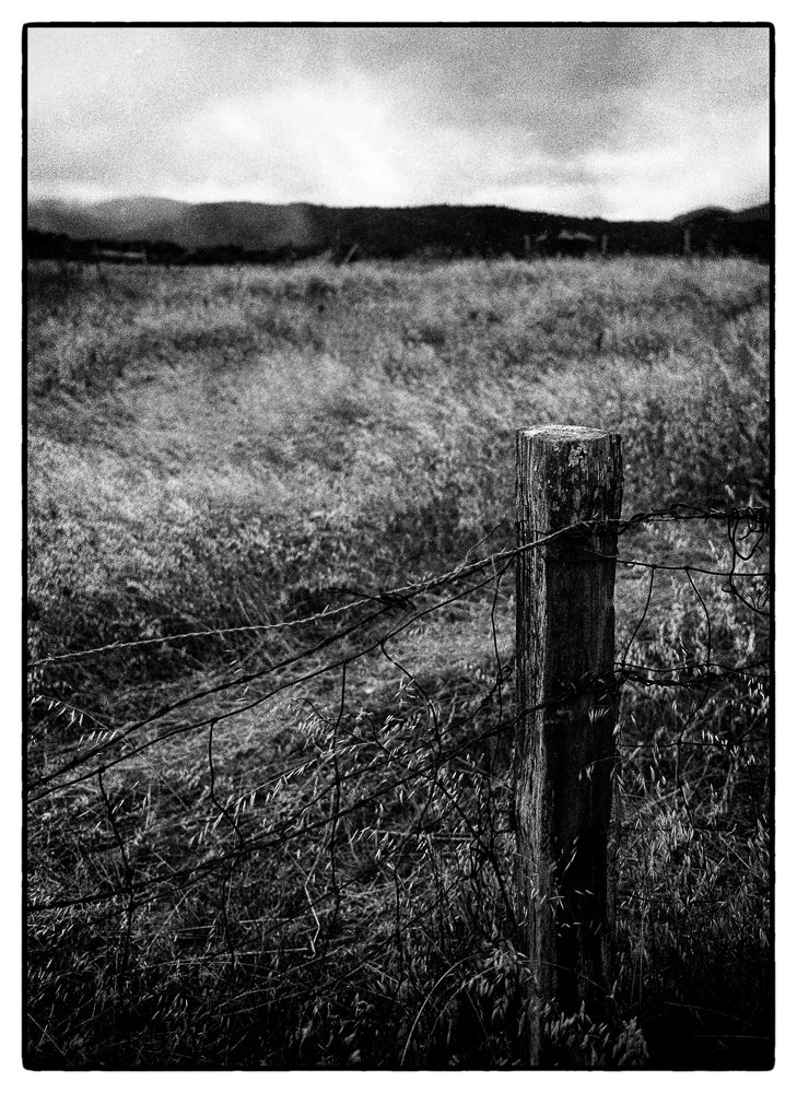 2019 17_10_21_2_017-Edit-Edit.jpg