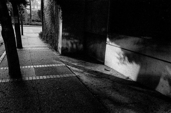 2019 LA Noir-100801_2_28-Edit.jpg