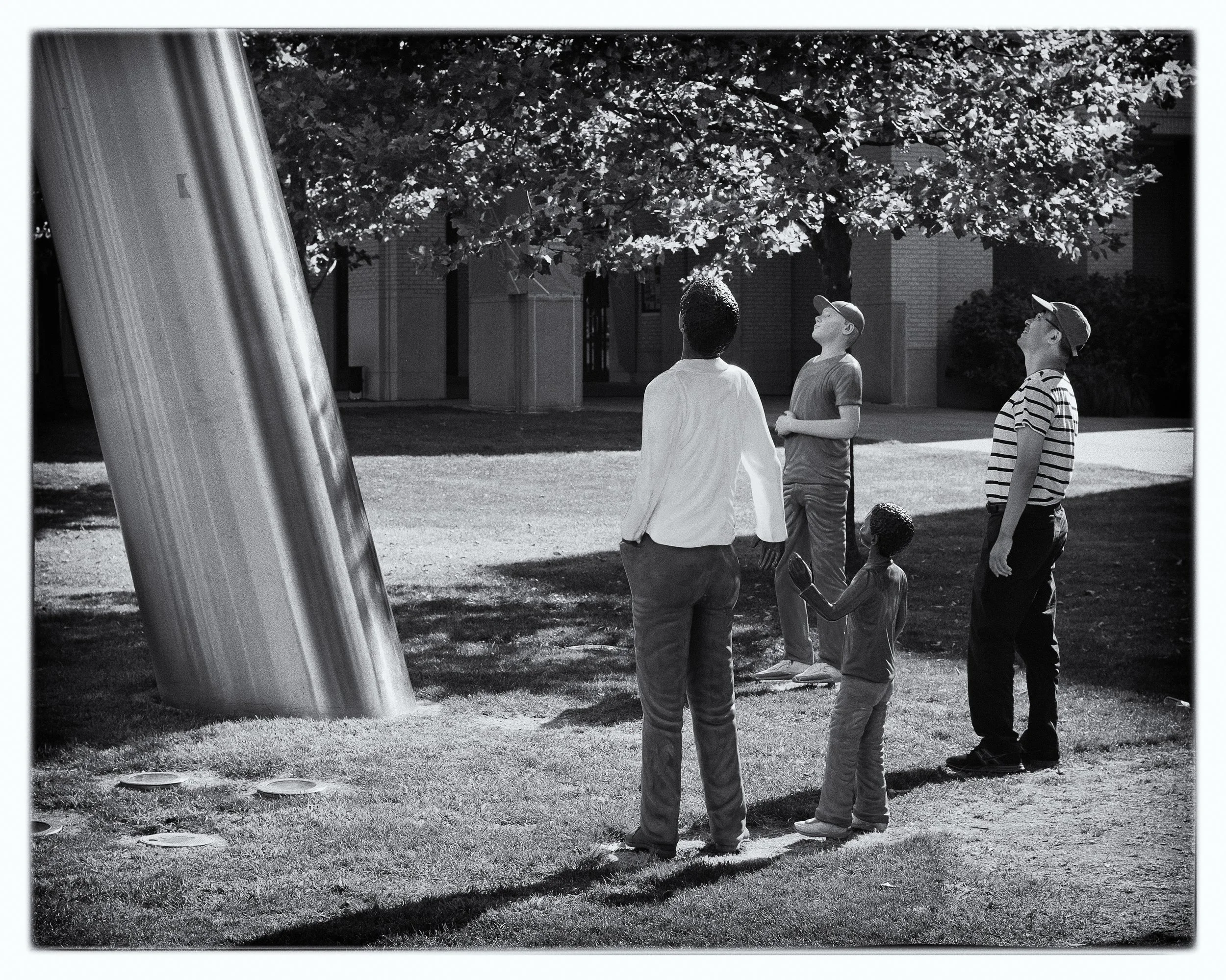 Human or Not Large.jpg