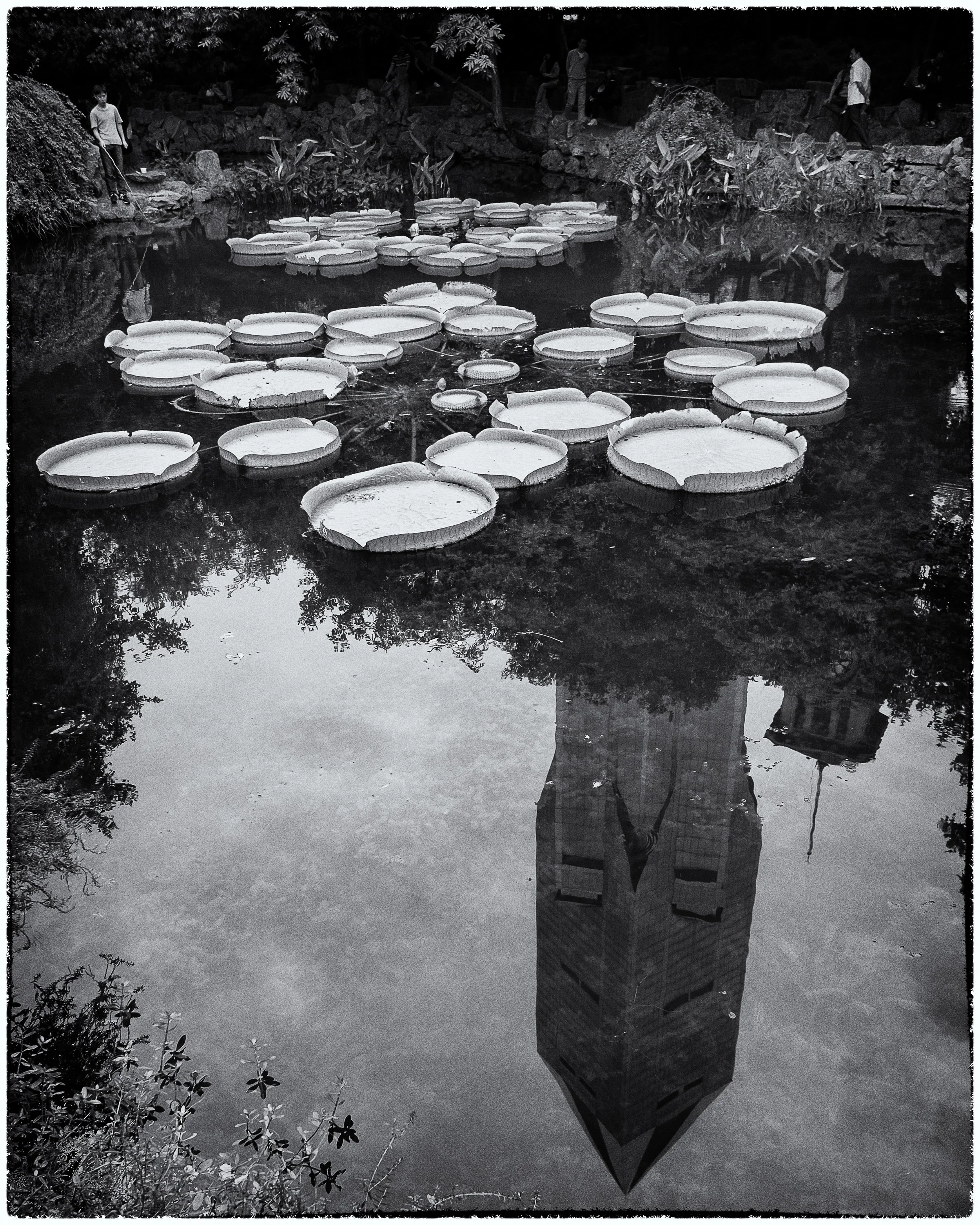 People's Park Pond.jpg