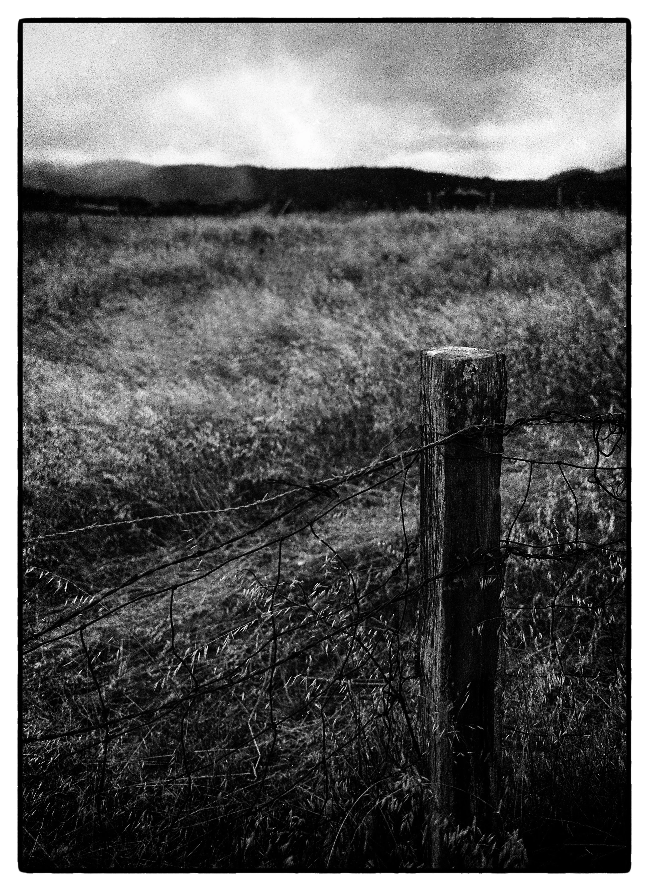 2014 Point Teyes.jpg