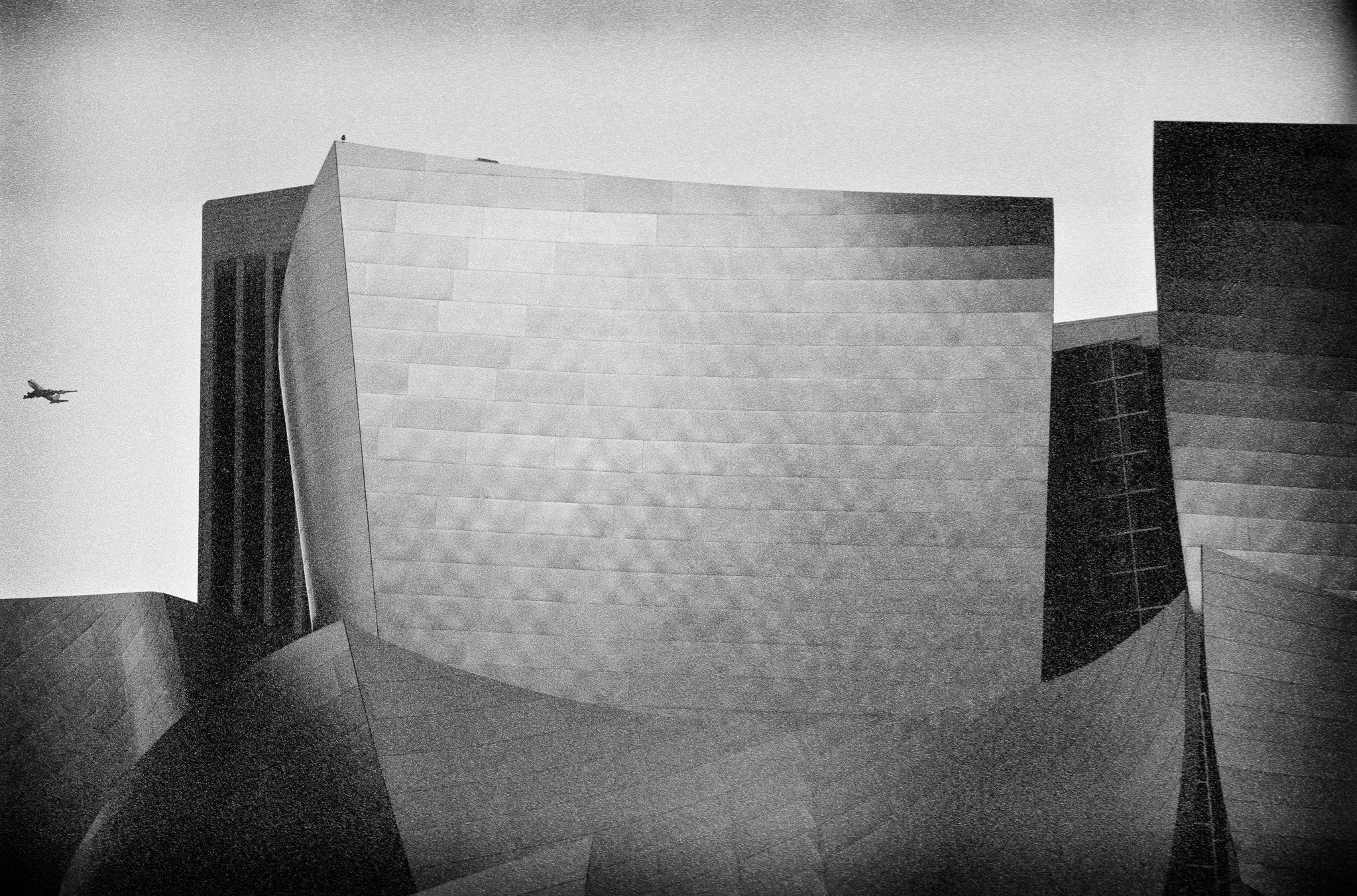 2011 Dawn at Gehry.jpg