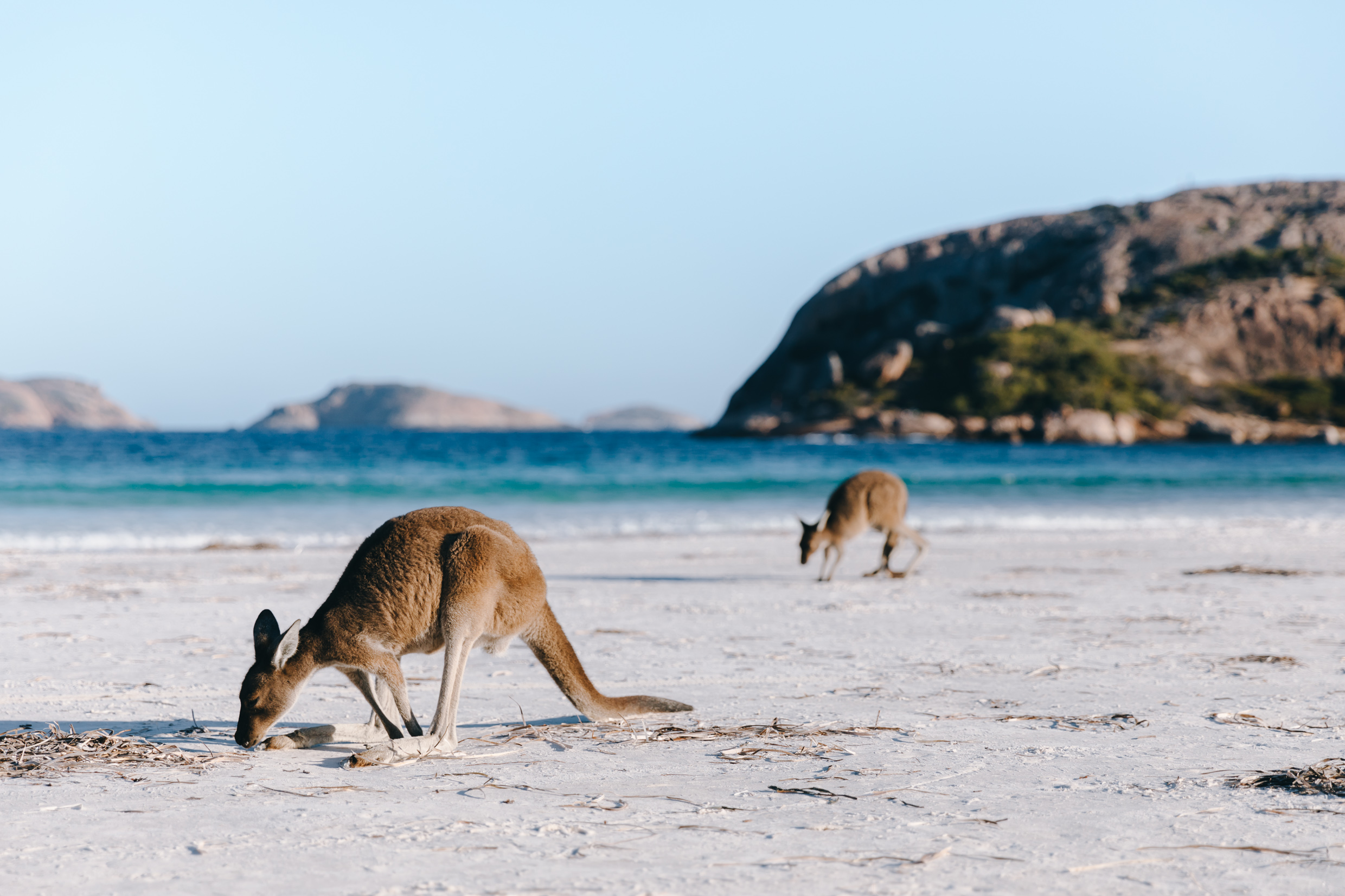 Lucky Bay Insta-4.jpg