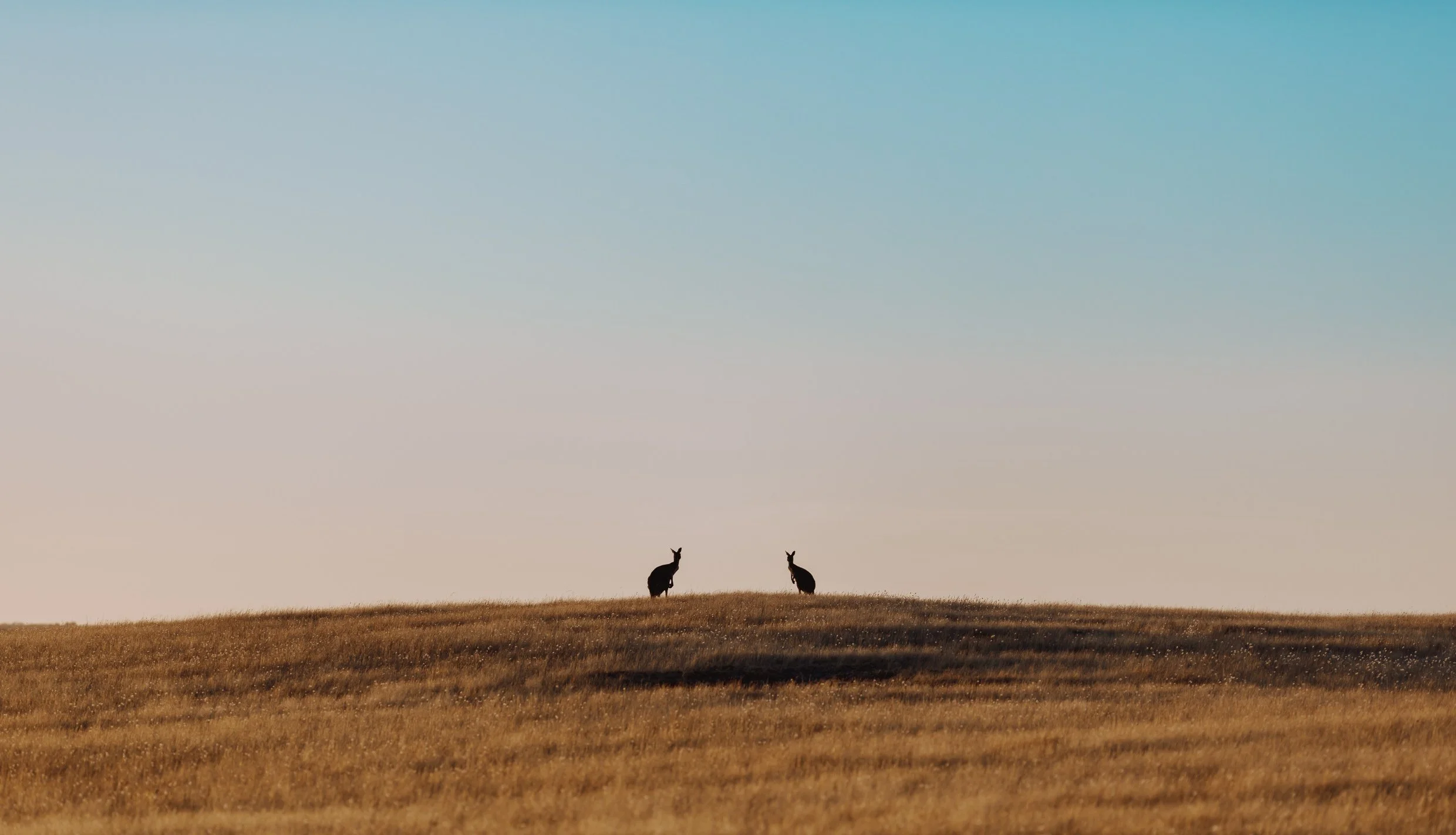 Flight Across Australia-228.jpg