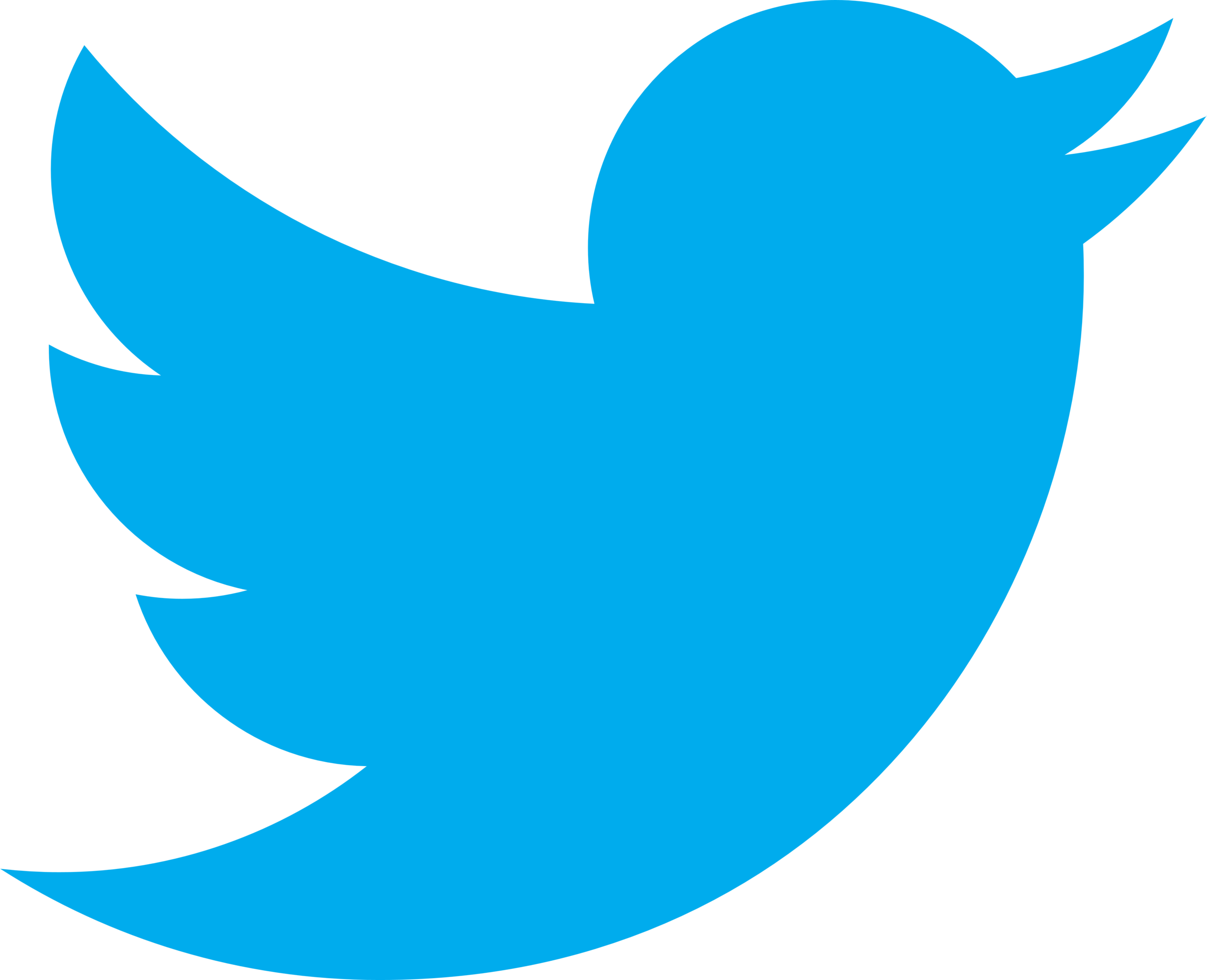 Twitter_logo_bird_transparent_png.png