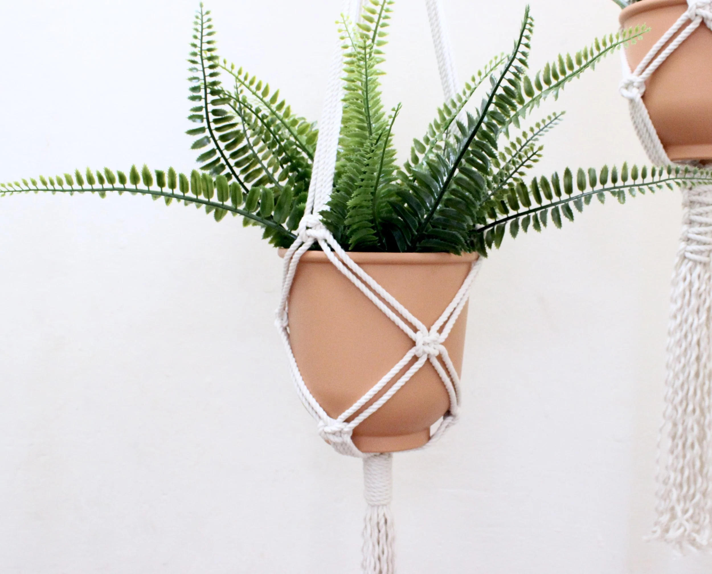 Macrame Plant Hanger Workshop | MAKE & MINGLE Community Project!