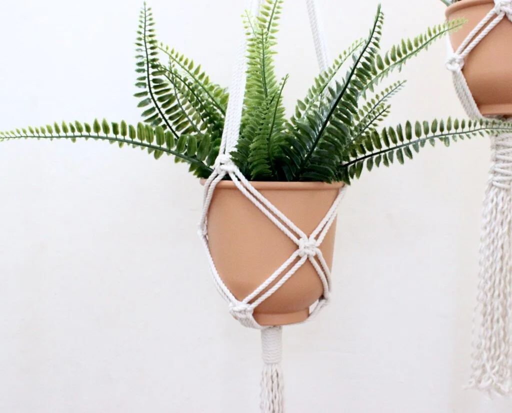 ONLINE Macrame Plant Hanger Workshop - Zoom Class | Learn Macrame at Home! 