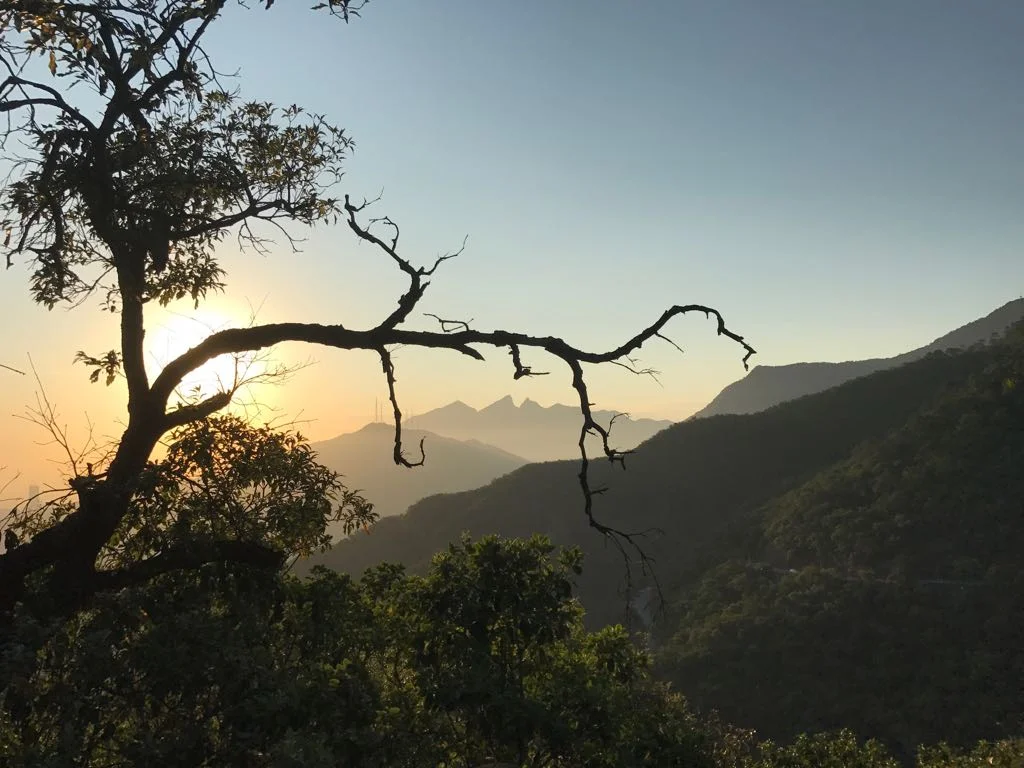 WhatsApp Image 2017-07-28 at 12.09.17 PM.jpeg