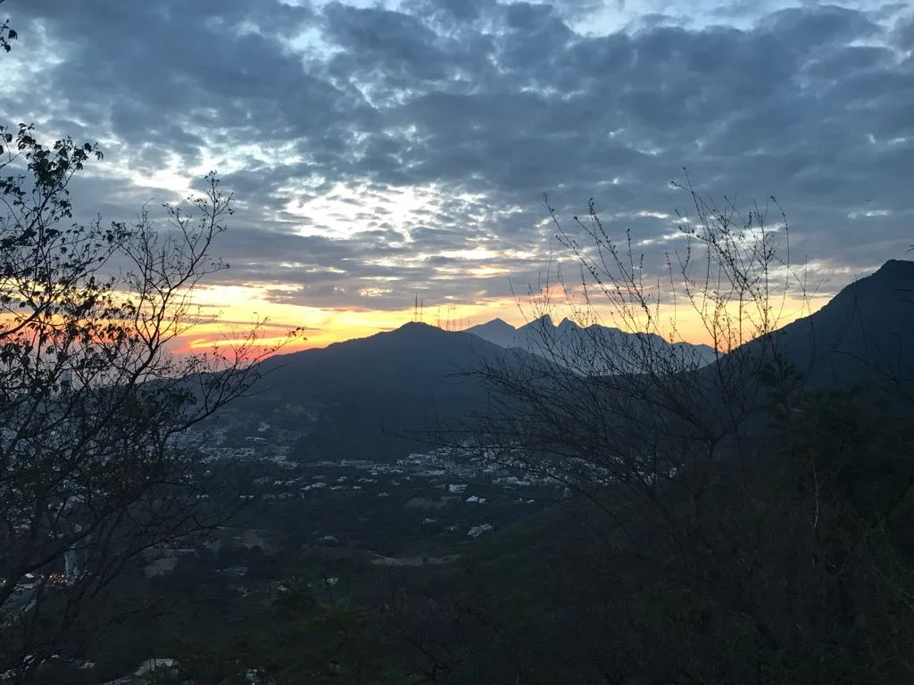 WhatsApp Image 2017-07-28 at 12.07.49 PM.jpeg