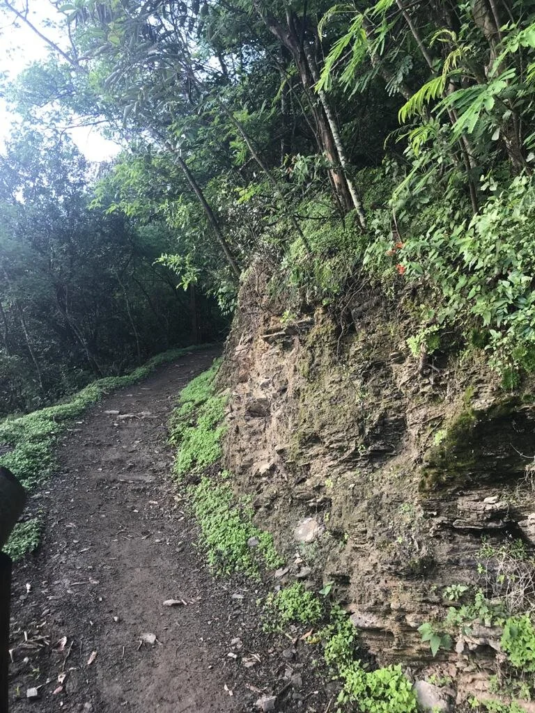 PHOTO-2020-05-11-16-22-28 2.jpg