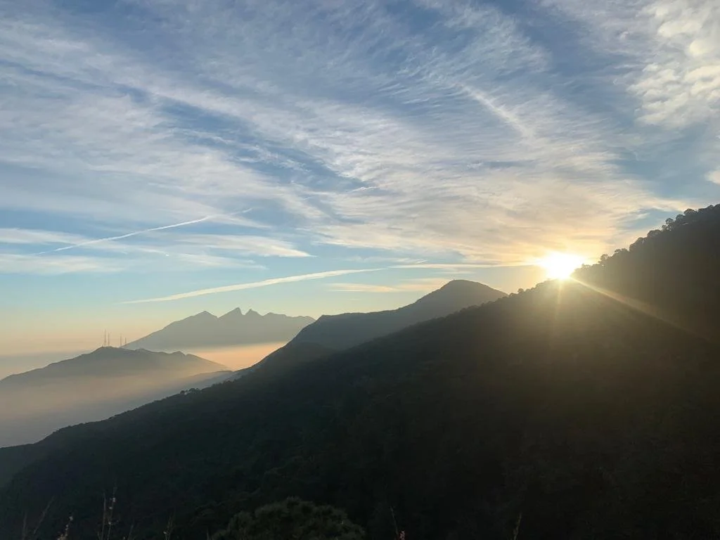 WhatsApp Image 2022-01-10 at 5.47.57 PM.jpeg