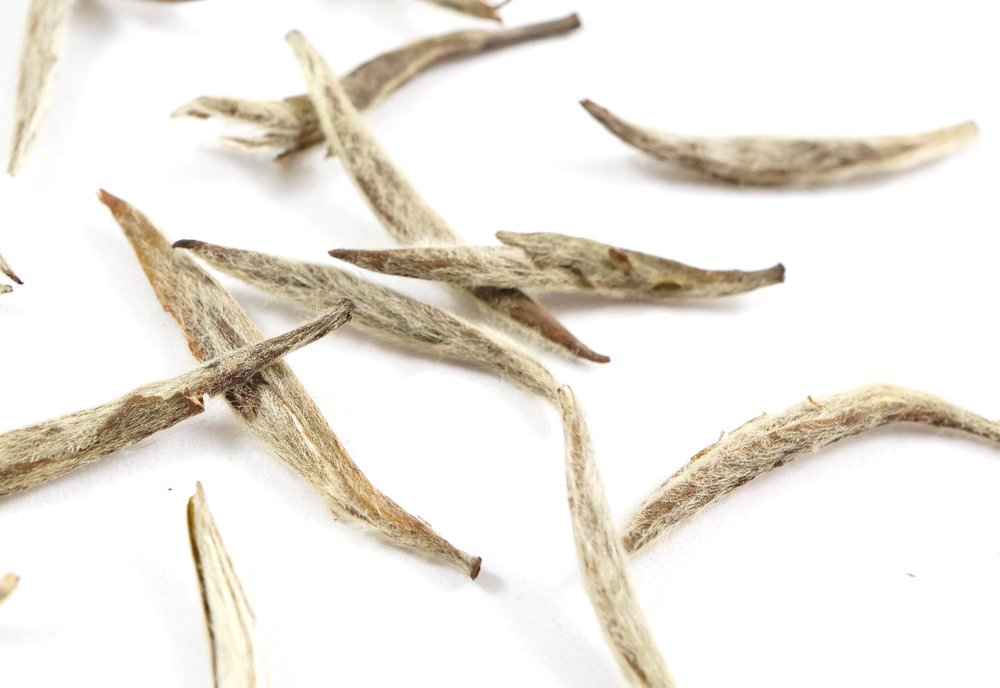 Mago software desagüe Aged Silver Needle — Beantown Tea & Spices