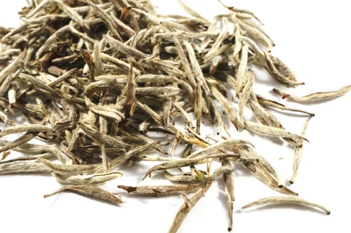 Aged Silver Needle white tea