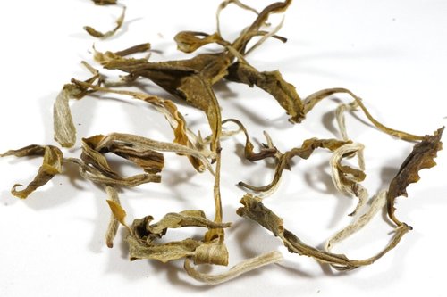 Snowbud white tea